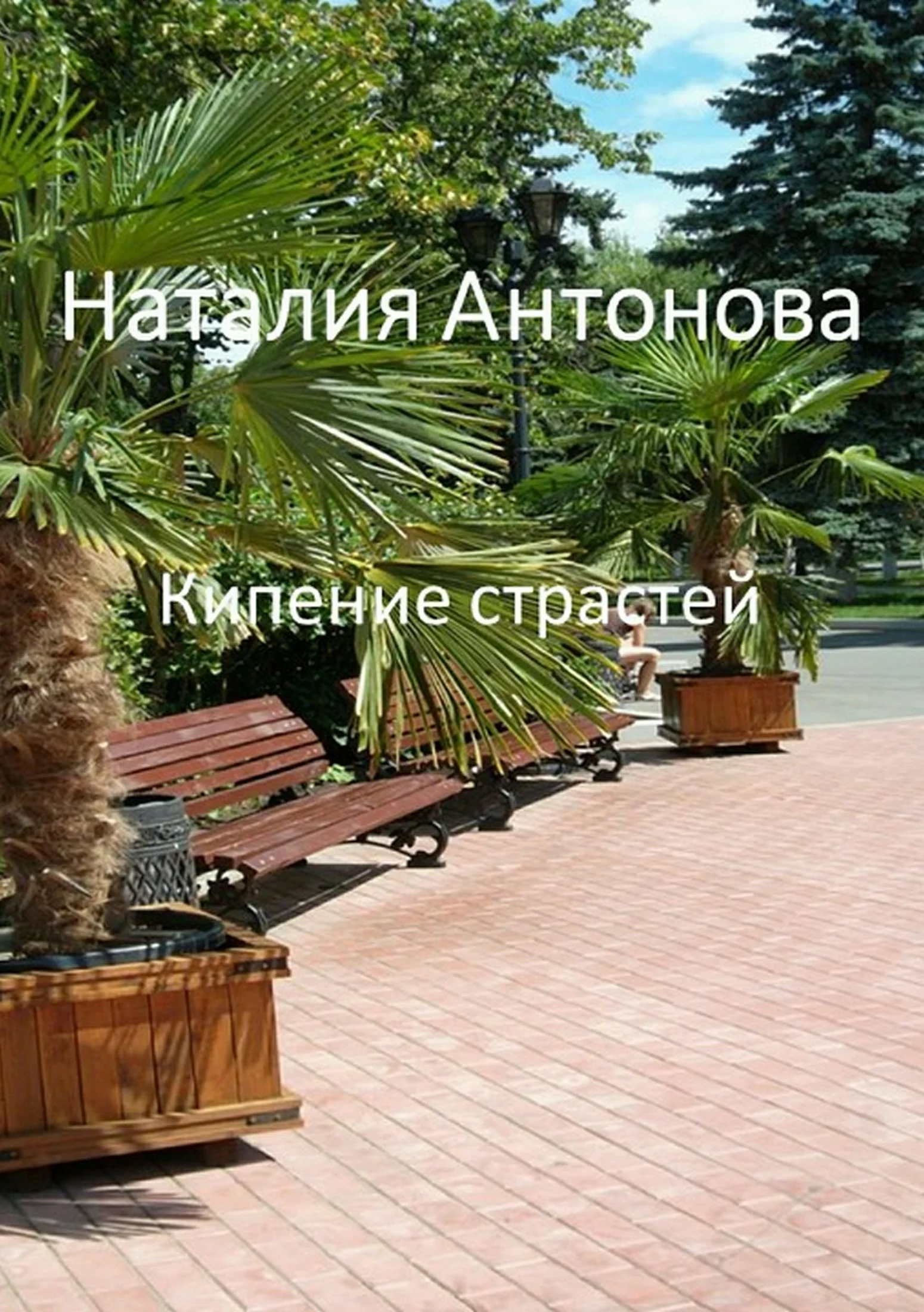 Обложка Кипение страстей