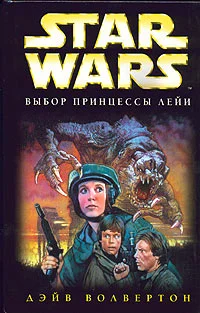Обложка Выбор принцессы Лейи