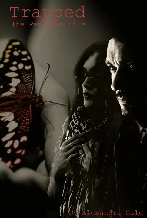 Обложка Загнанная в ловушку. Дело Пентагона