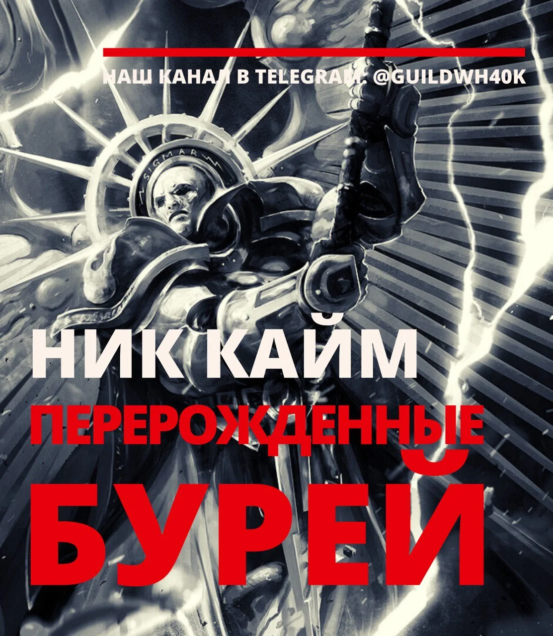 Обложка Перерожденные бурей