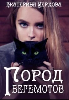 Обложка Город Бегемотов