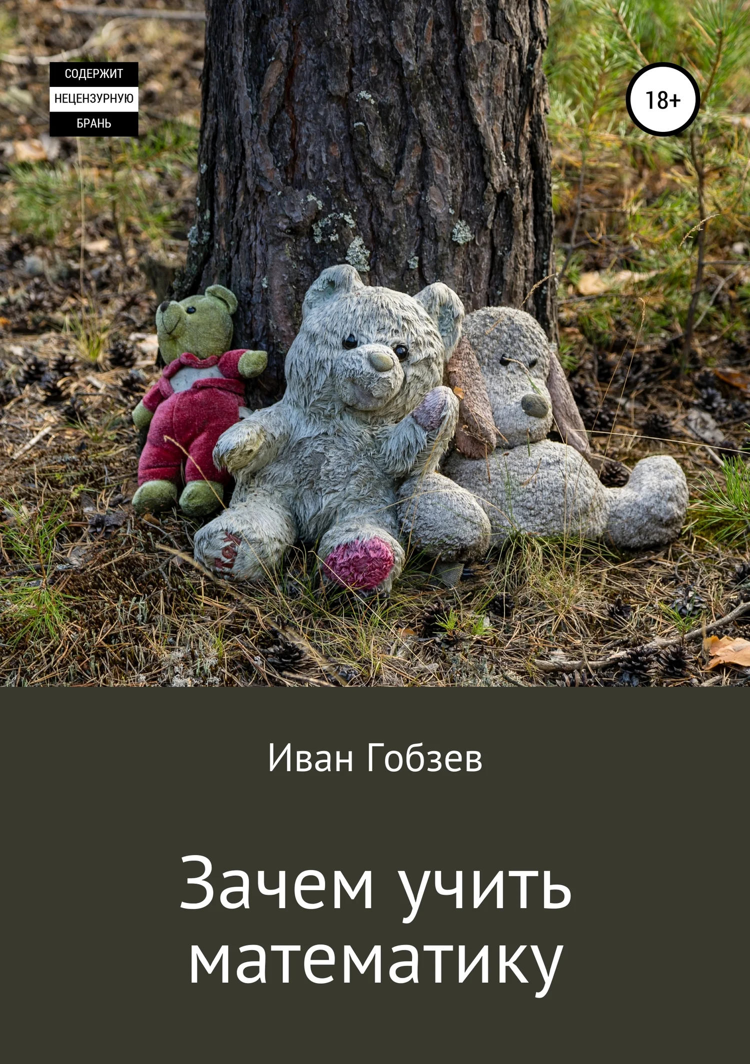 Обложка Зачем учить математику