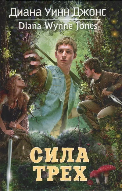 Обложка Сила Трех