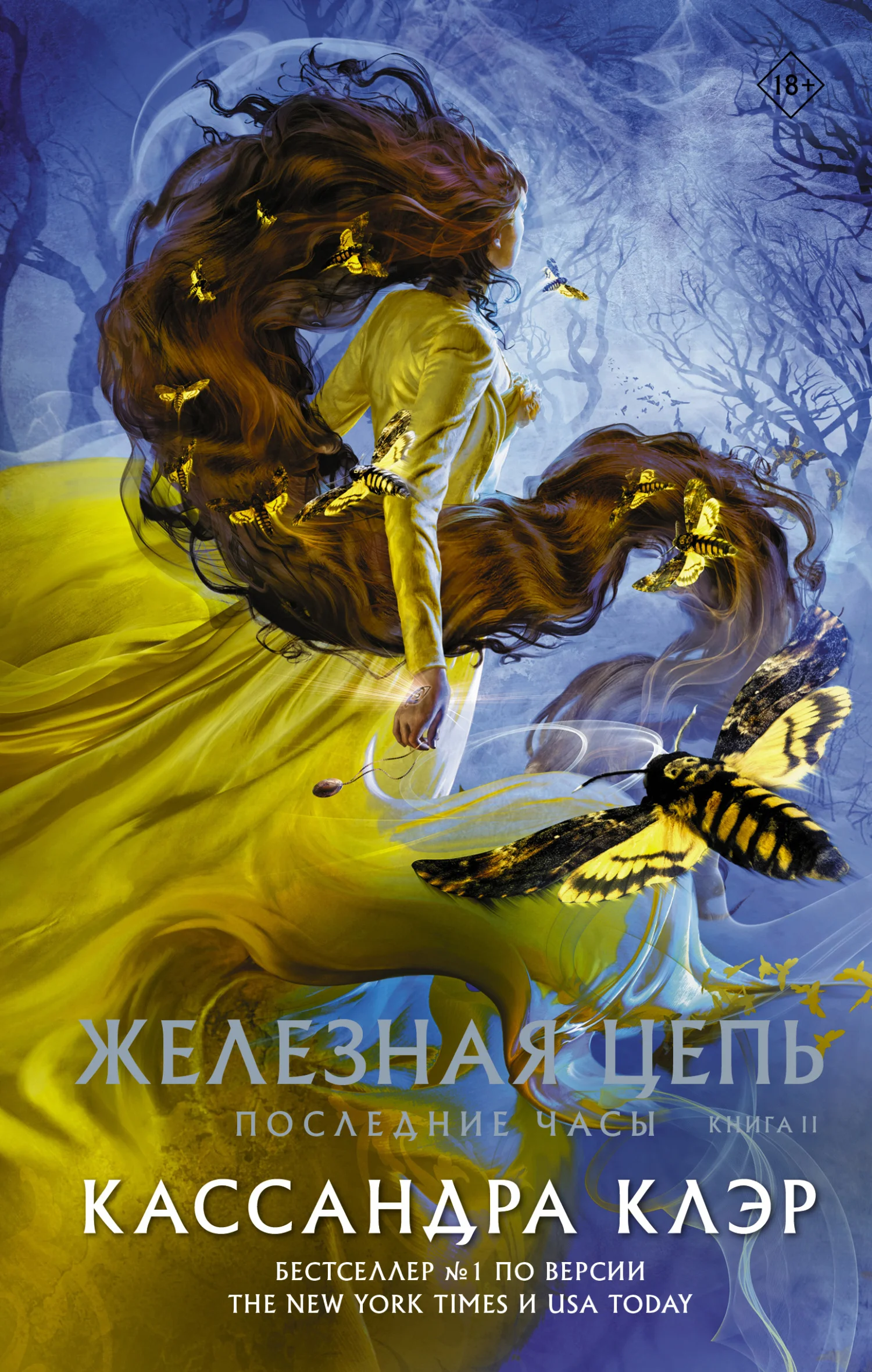 Обложка Железная цепь