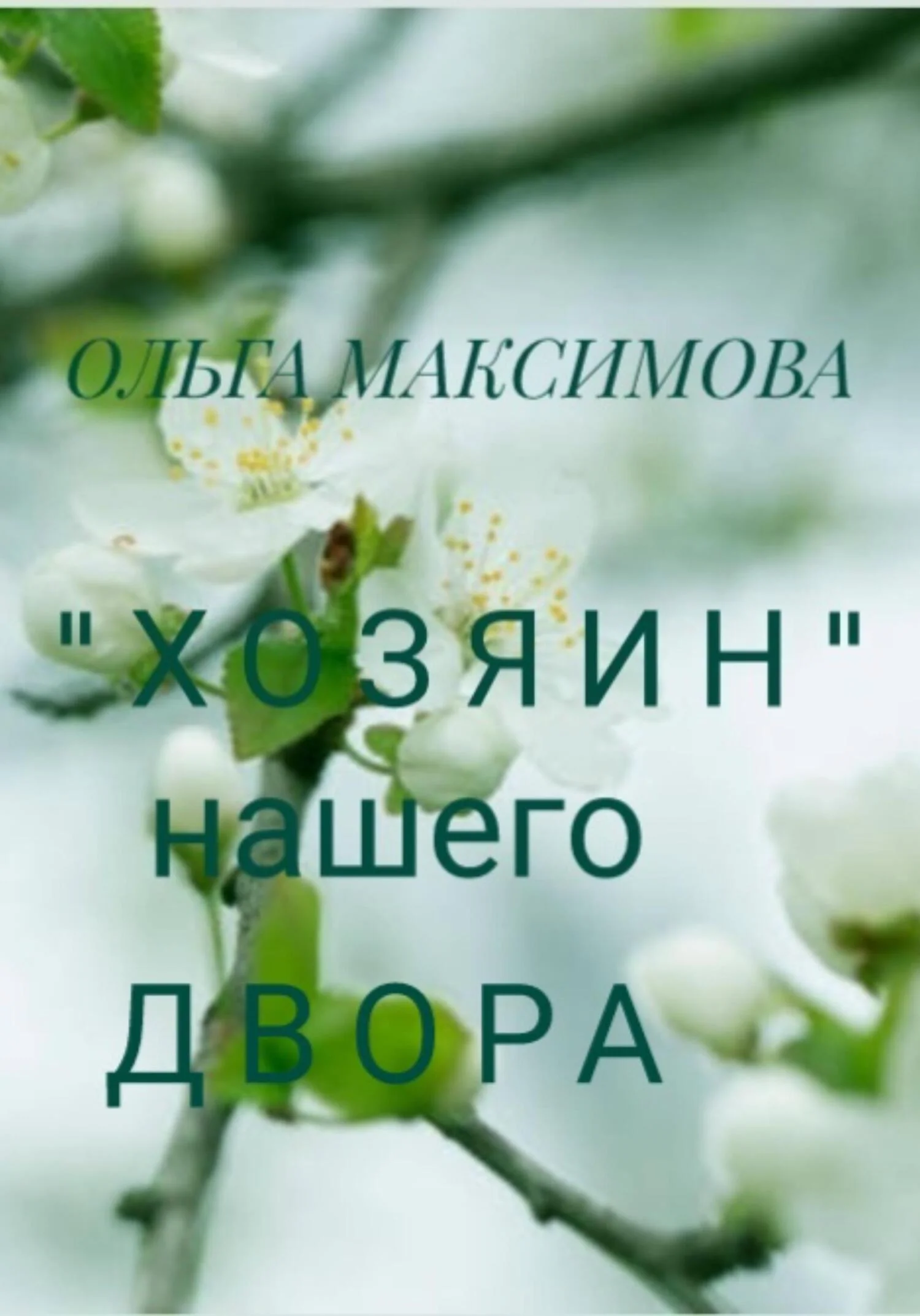 Обложка «Хозяин» нашего двора