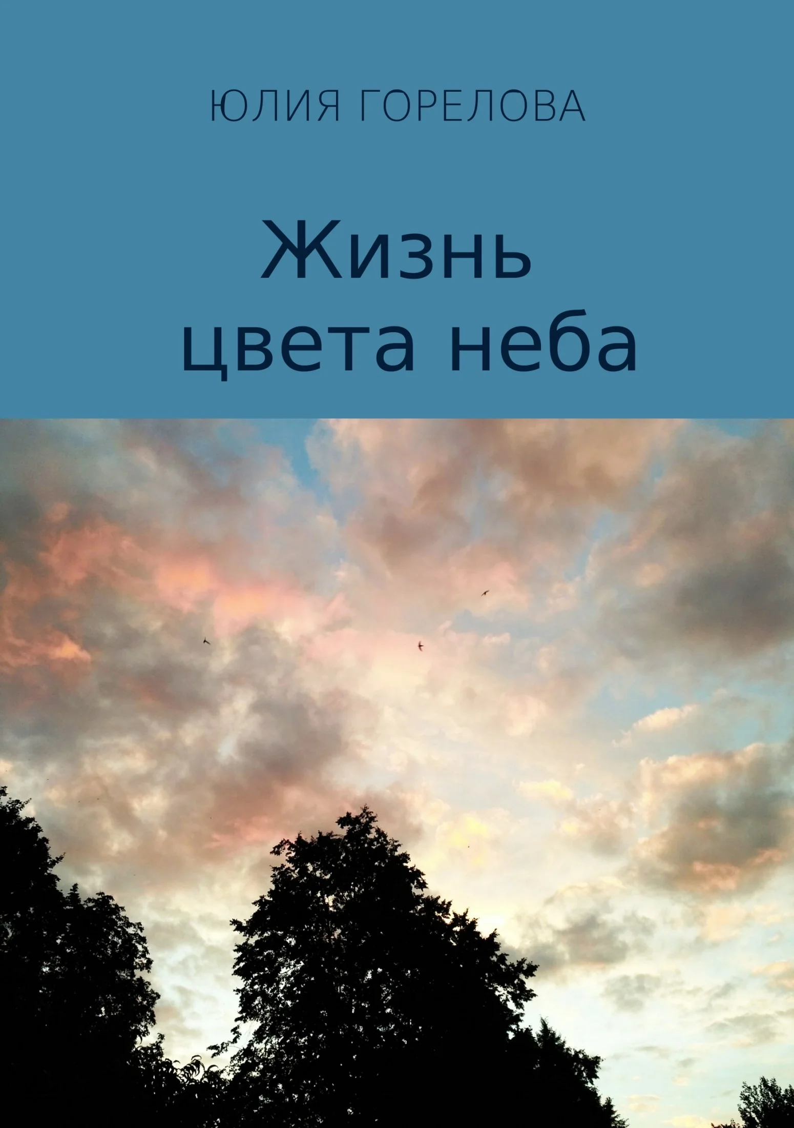 Обложка Жизнь цвета неба