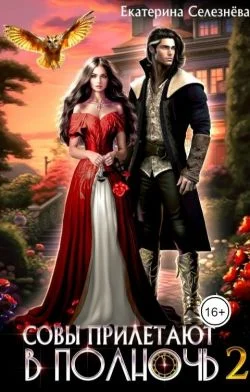 Обложка Совы прилетают в полночь 2