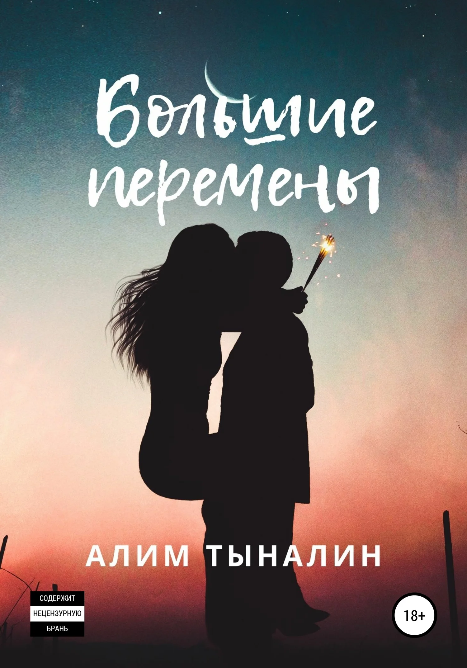 Обложка Большие перемены