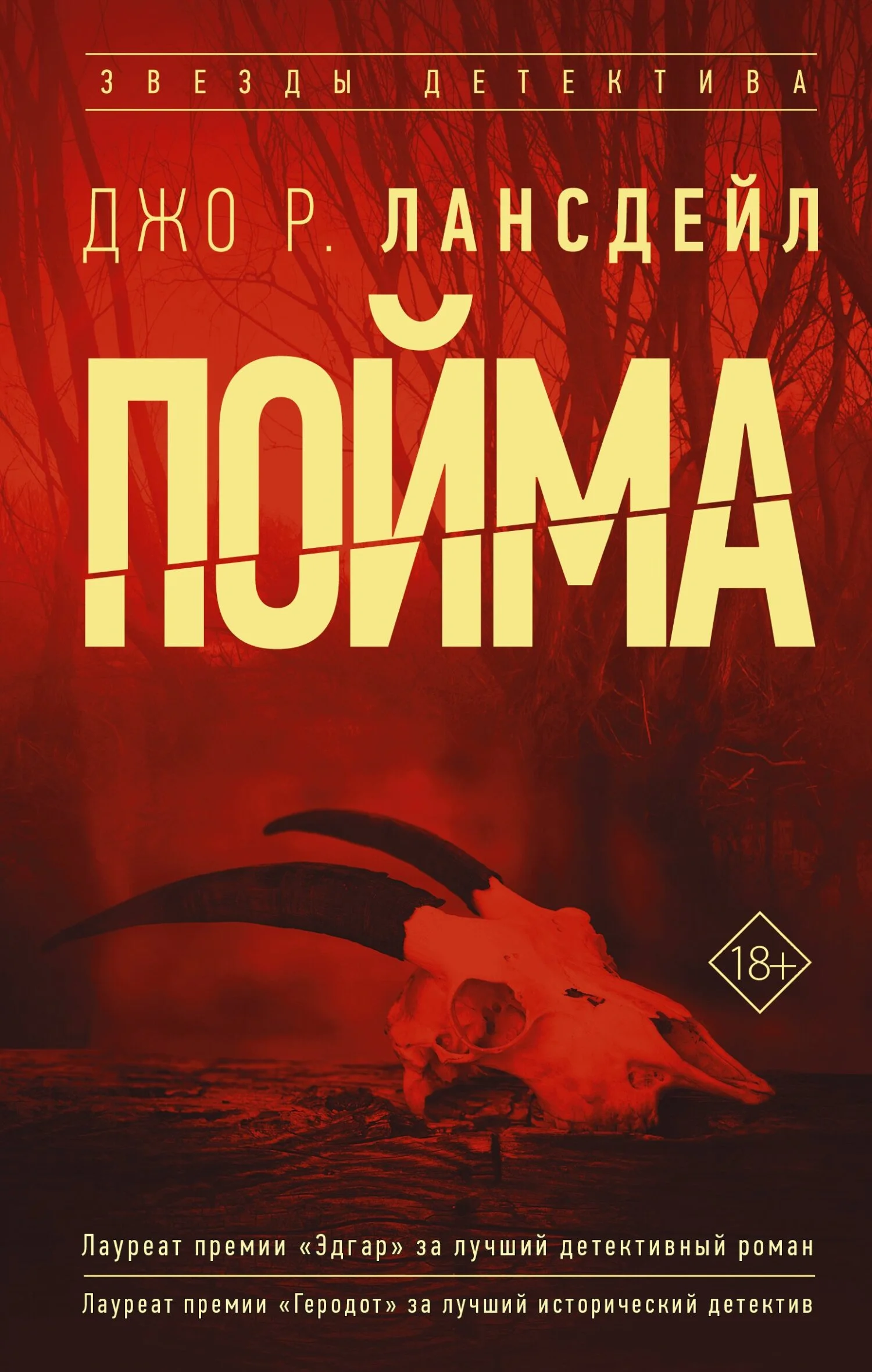 Обложка Пойма