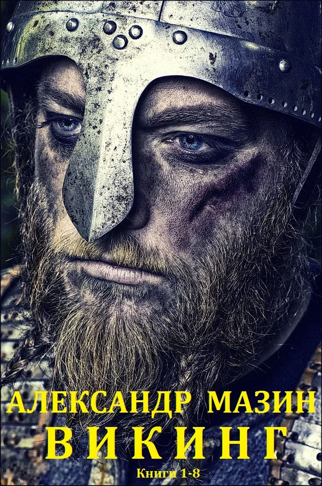 Обложка Викинг