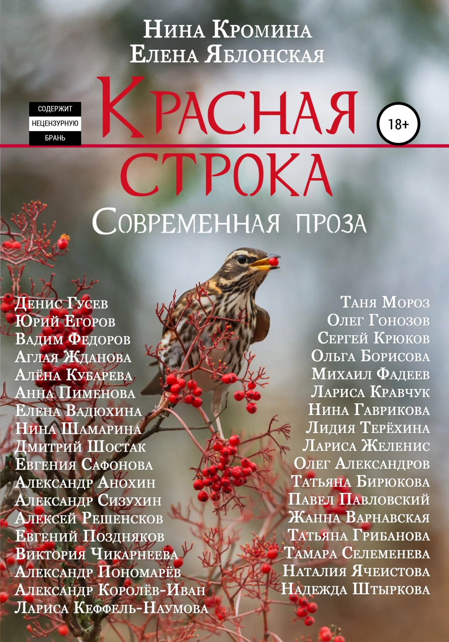 Обложка Красная строка. Сборник 3
