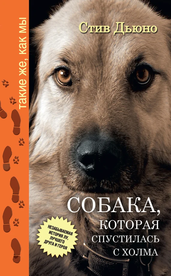 Обложка Собака, которая спустилась с холма. Незабываемая история Лу, лучшего друга и героя