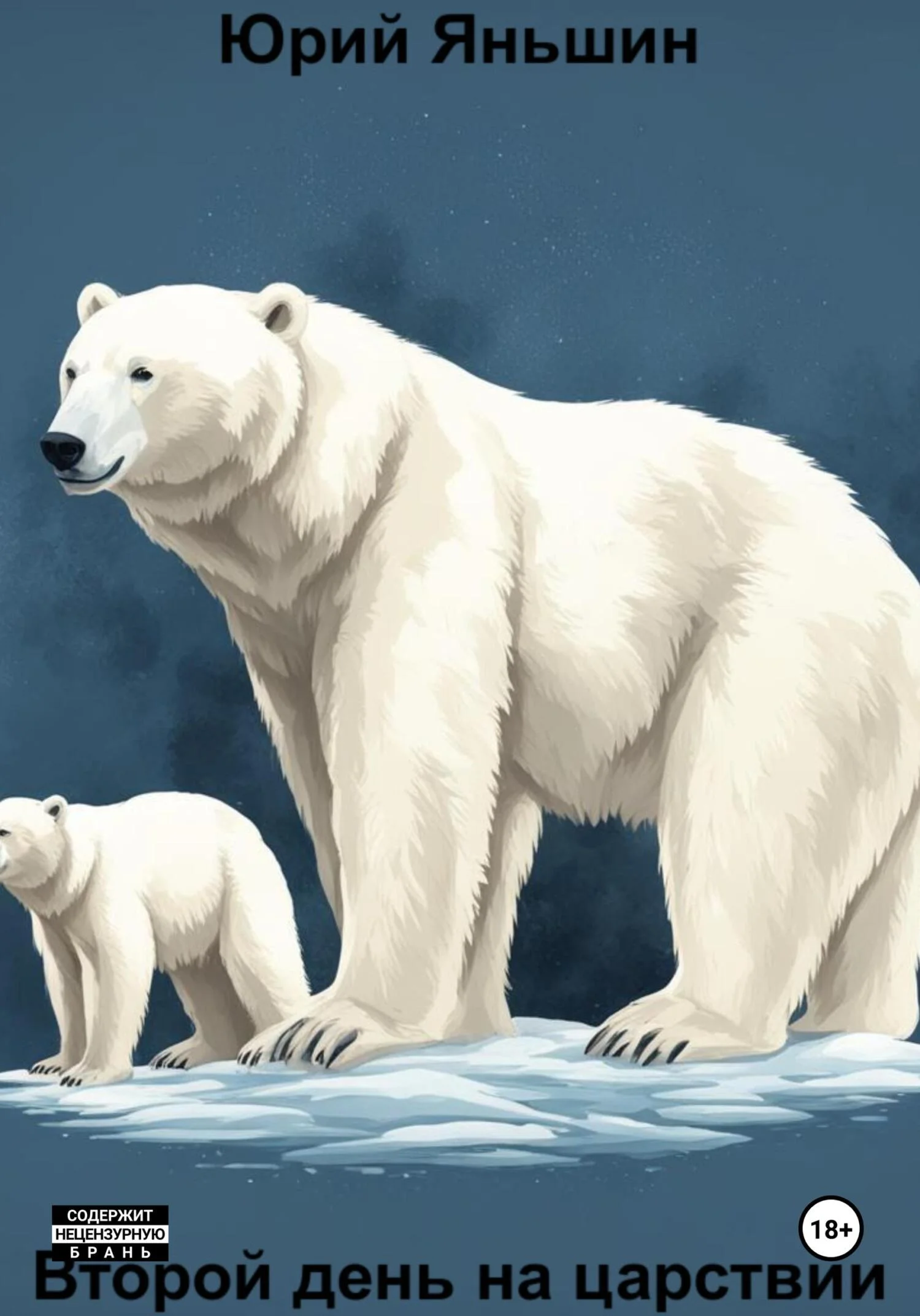 Обложка Второй день на царствии