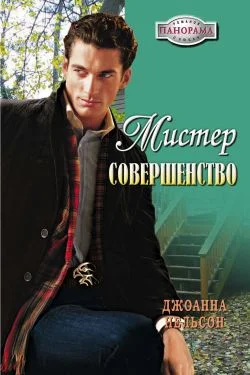 Обложка Мистер Совершенство
