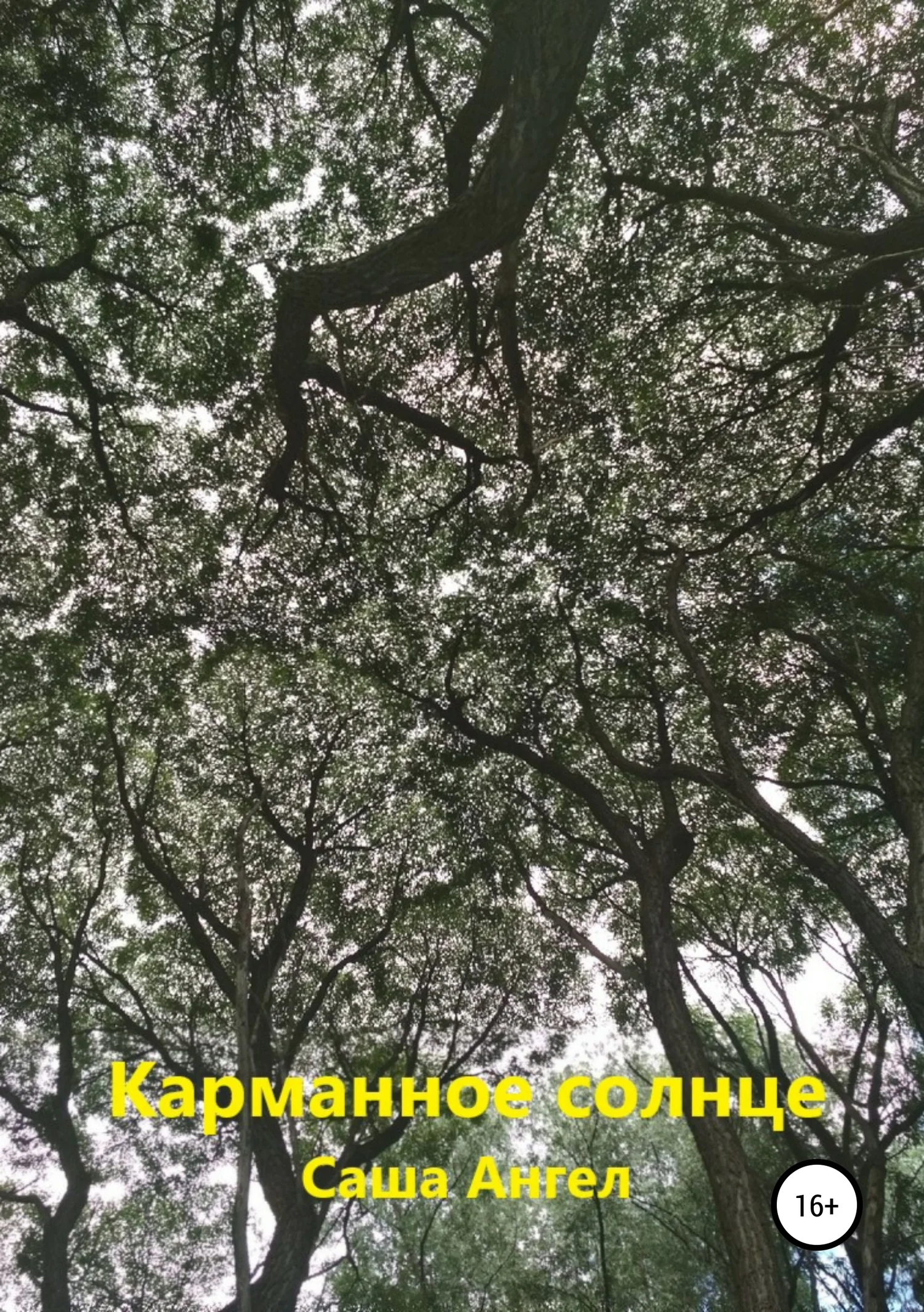 Обложка Карманное солнце