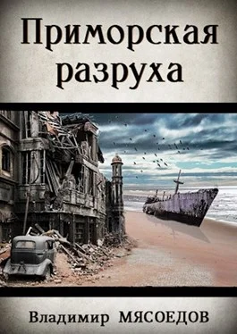 Обложка Приморская разруха