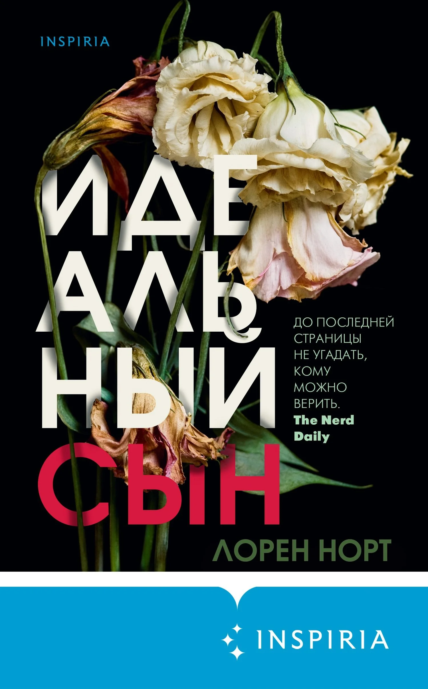 Обложка Идеальный сын