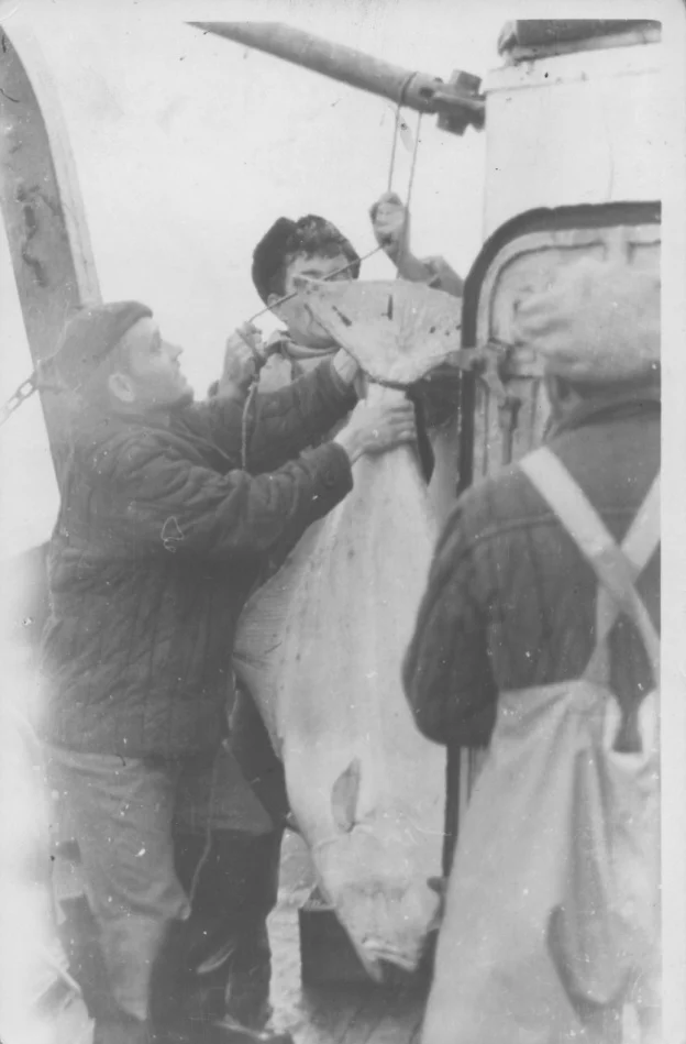 Обложка Бриллиантовое колье Курильской гряды