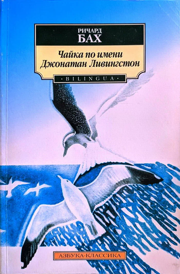 Обложка Чайка по имени Джонатан Ливингстон