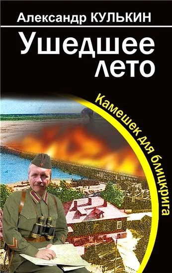 Обложка Ушедшее лето. Камешек для блицкрига