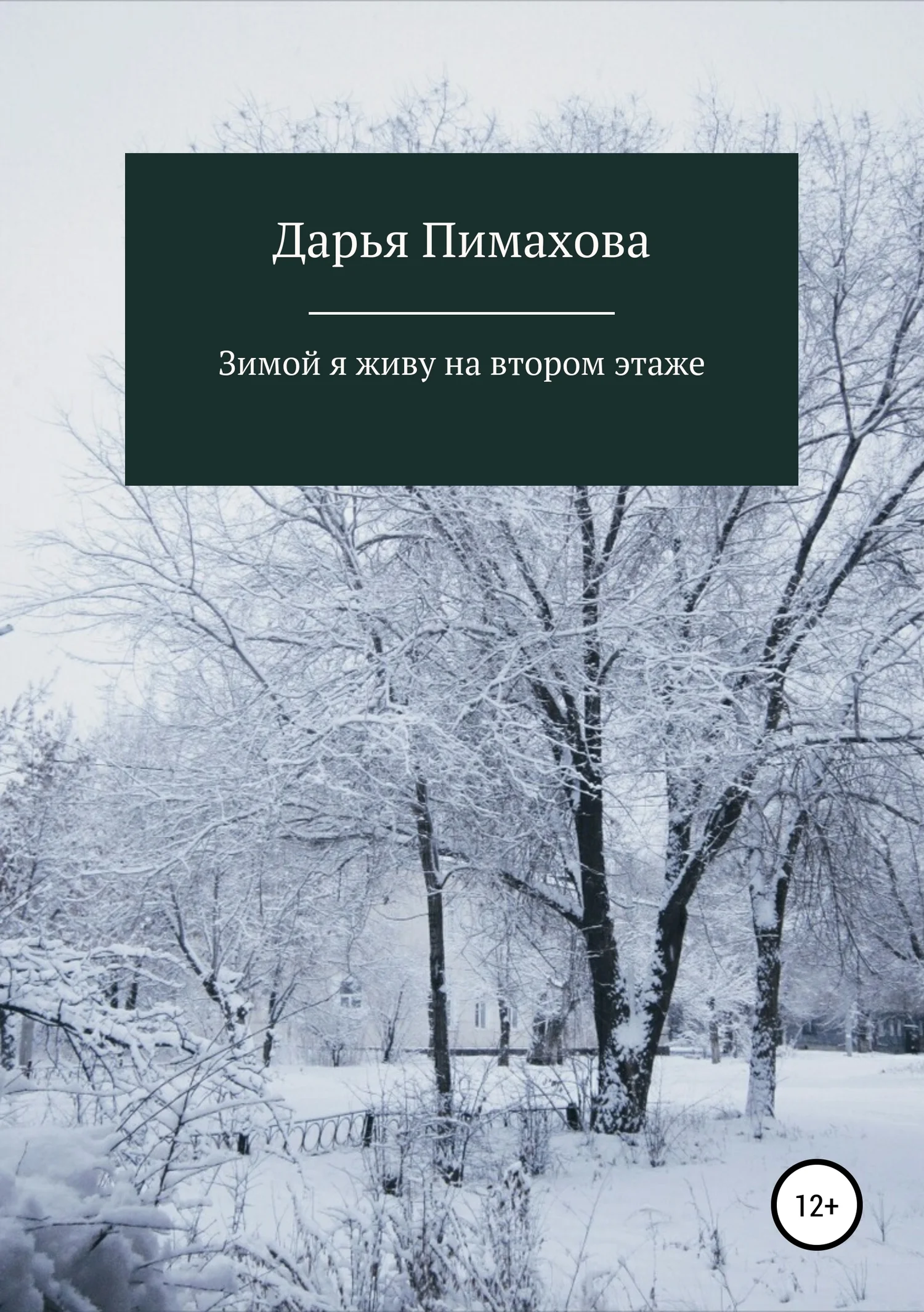 Обложка Зимой я живу на втором этаже