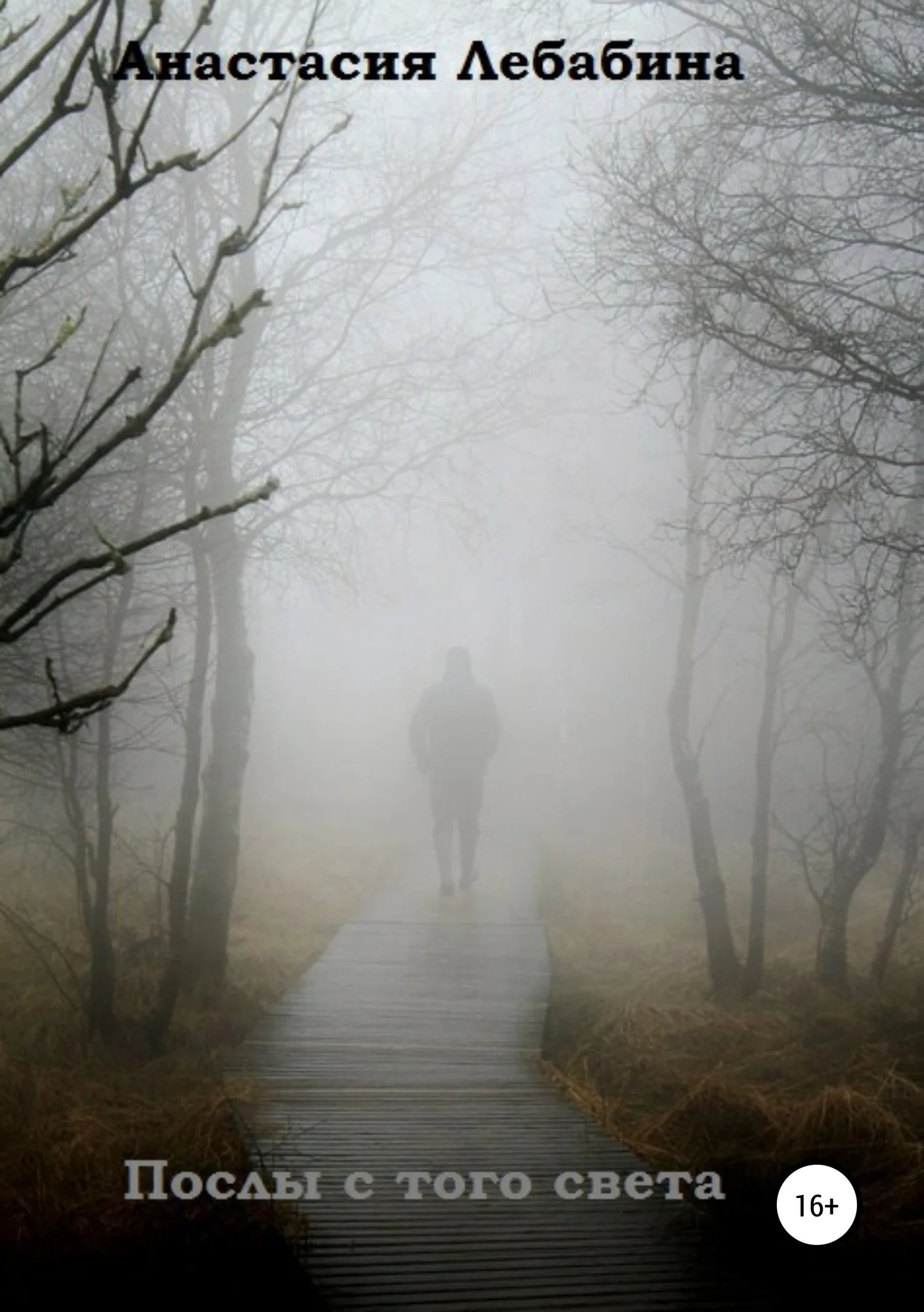 Обложка Послы с того света