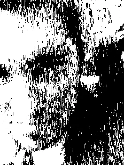 Обложка "Уважение культурных традиций" и другие рассказы