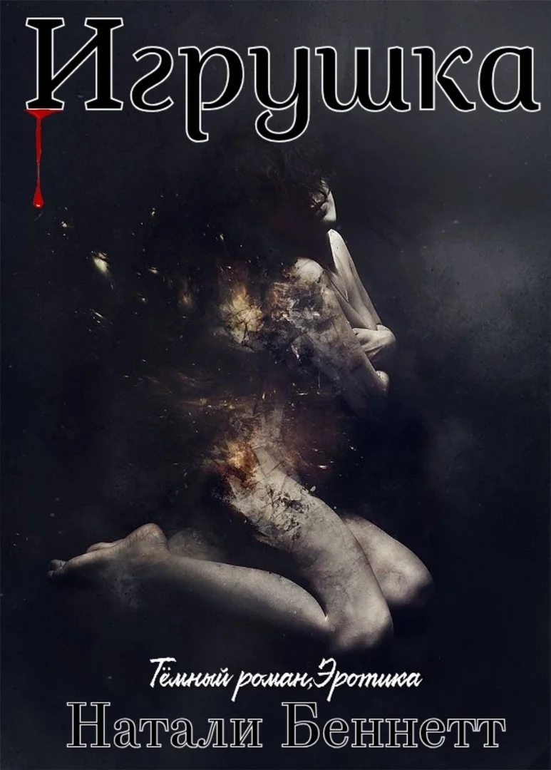 Обложка Игрушка