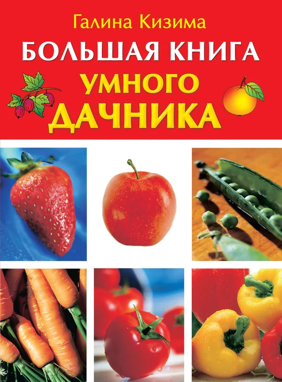 Обложка Большая книга умного дачника