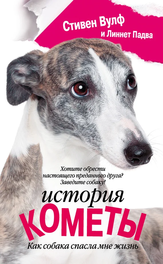 Обложка История Кометы