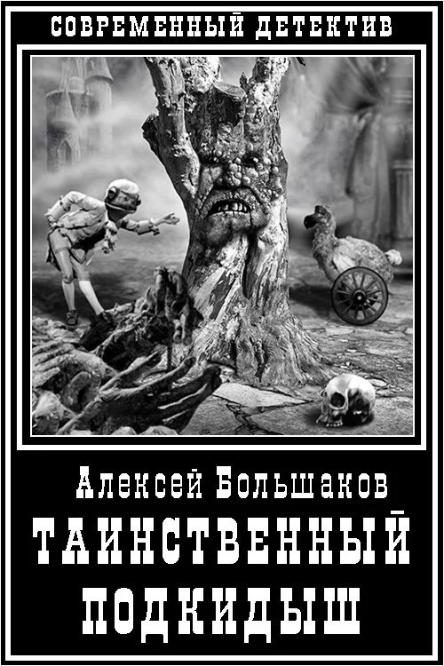 Обложка Таинственный подкидыш