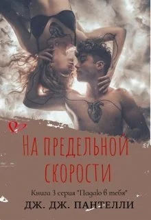 Обложка На предельной скорости