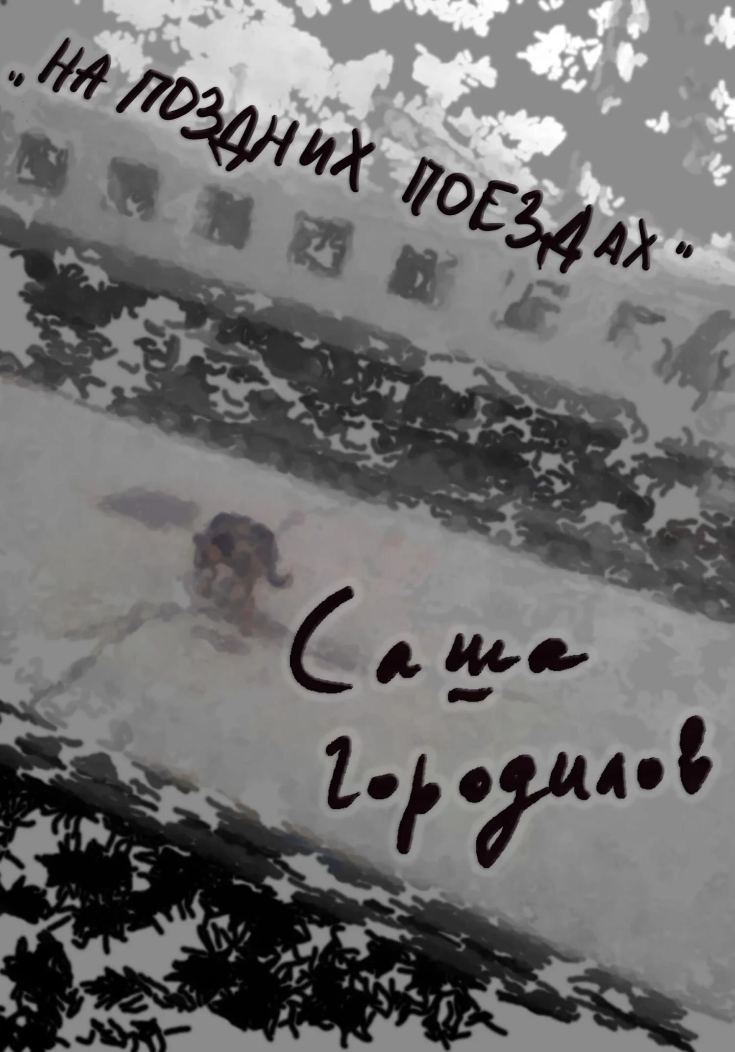 Обложка На поздних поездах