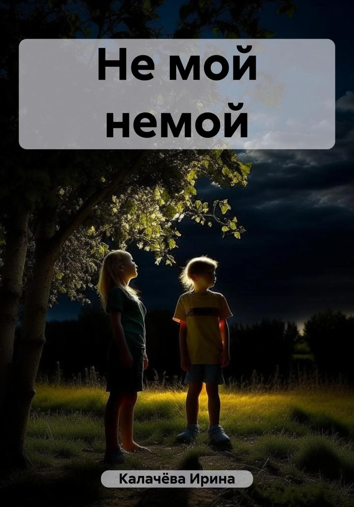 Обложка Не мой немой