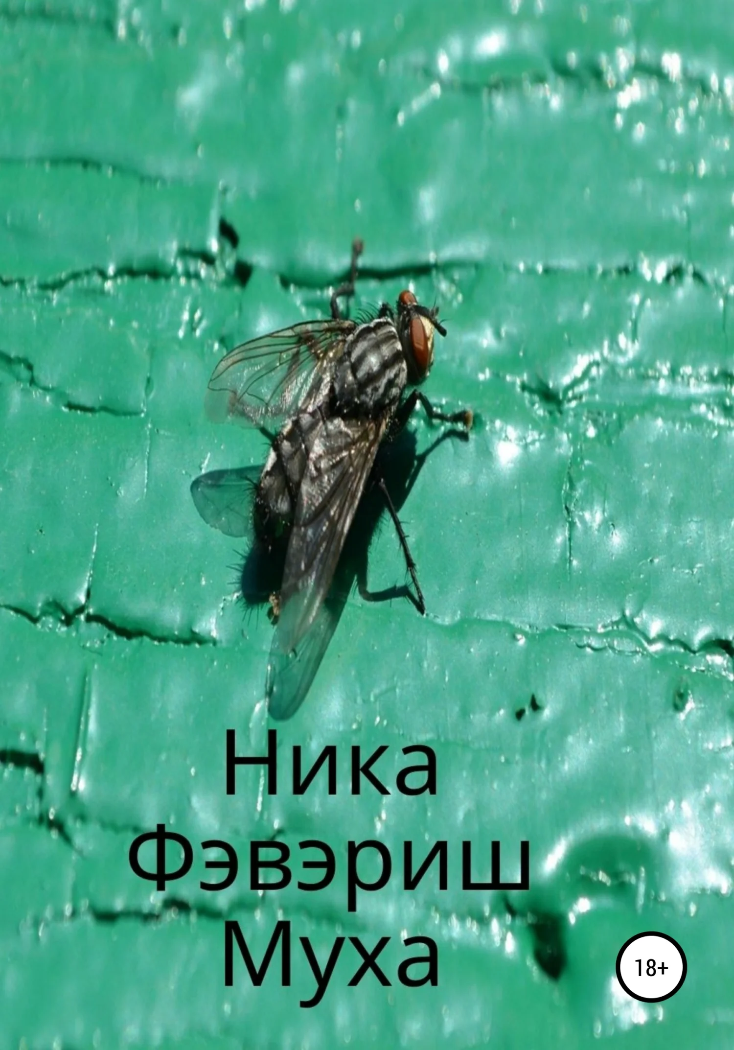 Обложка Муха