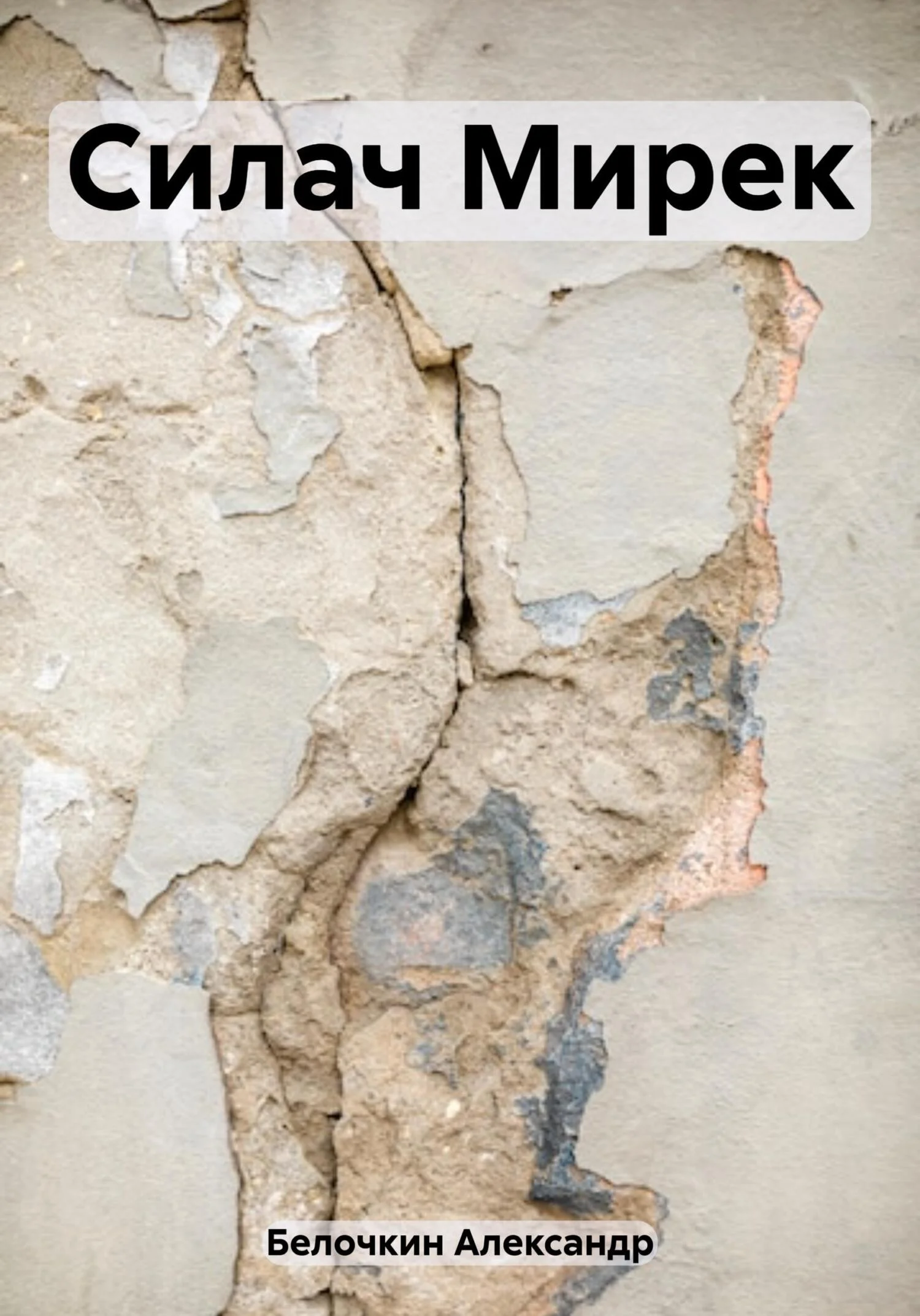 Обложка Силач Мирек