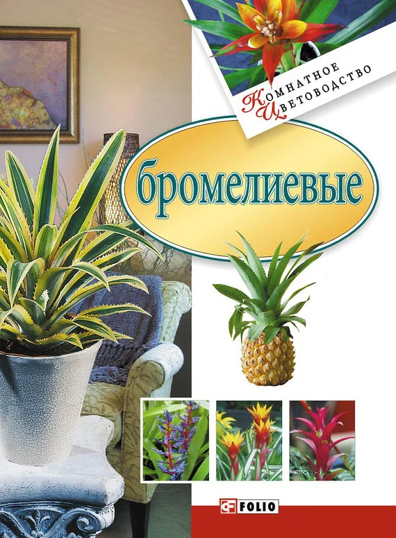 Обложка Бромелиевые