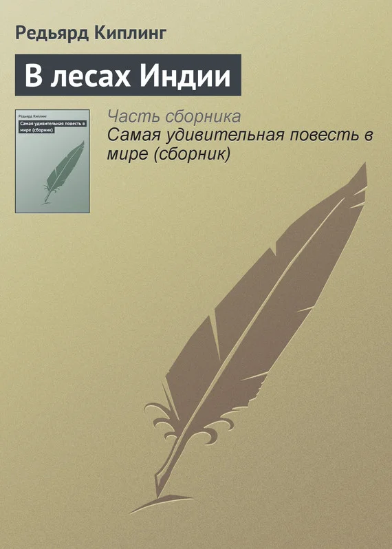 Обложка В лесах Индии