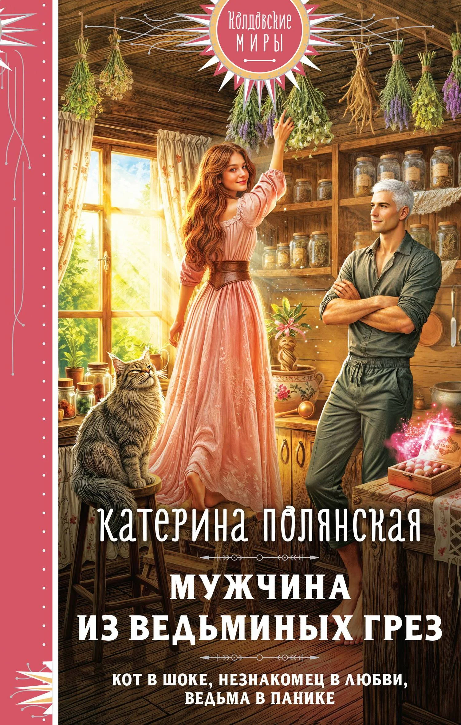 Обложка Мужчина из ведьминых грез