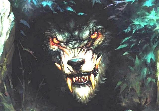 Обложка Судьба (СИ)