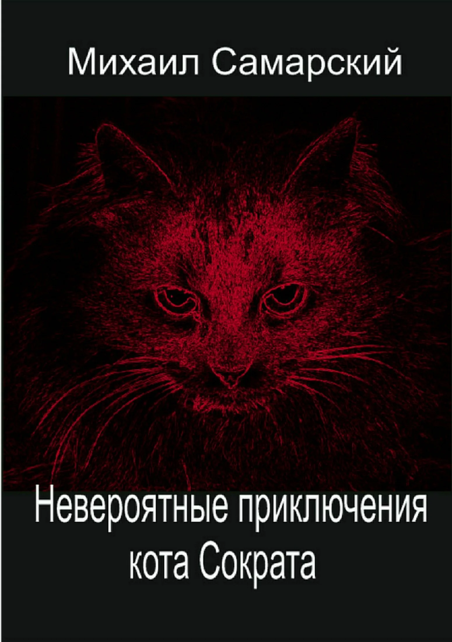 Обложка Невероятные приключения кота Сократа