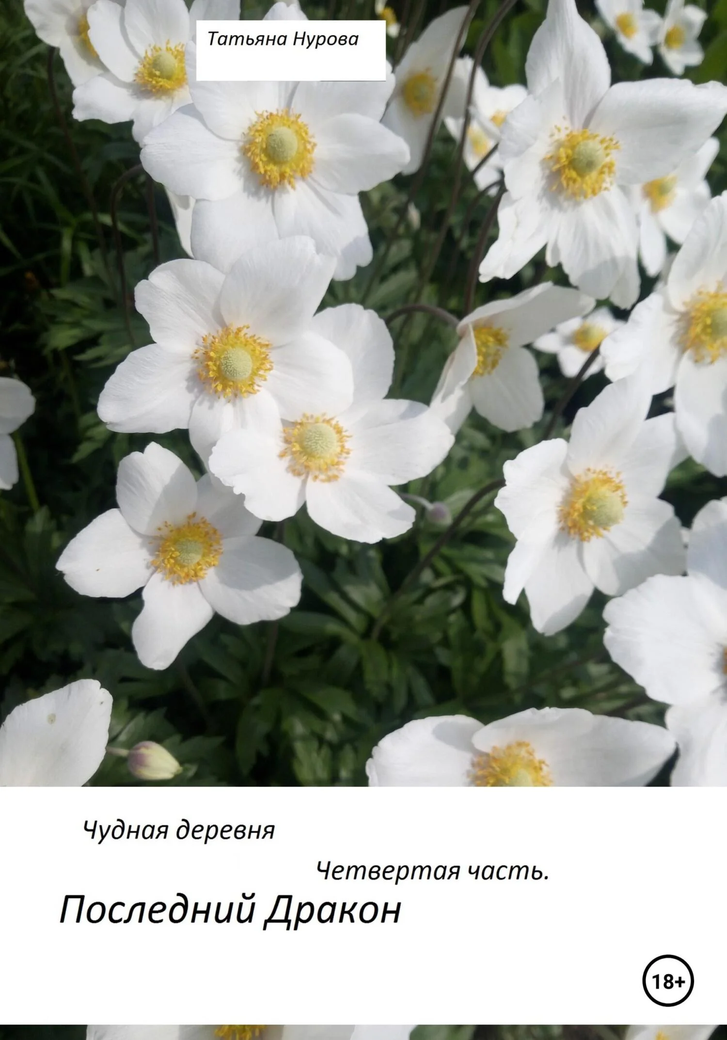 Обложка Последний дракон