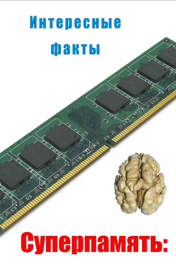 Обложка Интересные факты