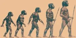 Обложка История людей