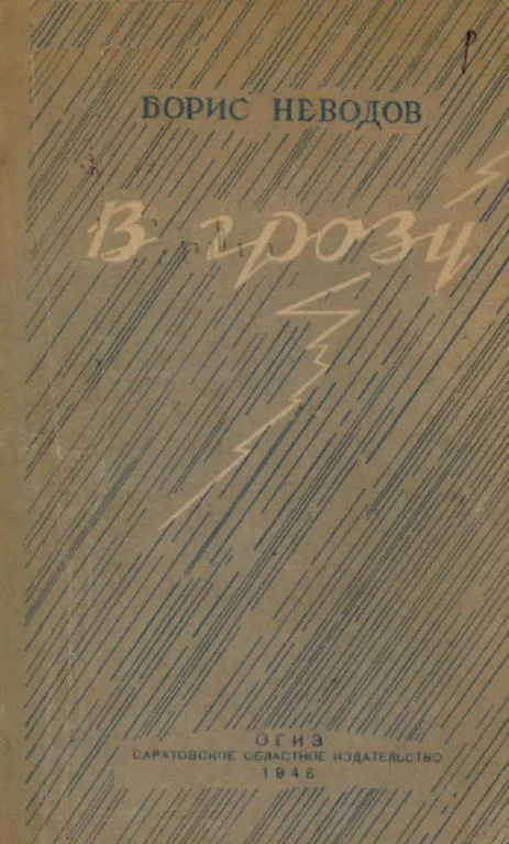 Обложка В грозу