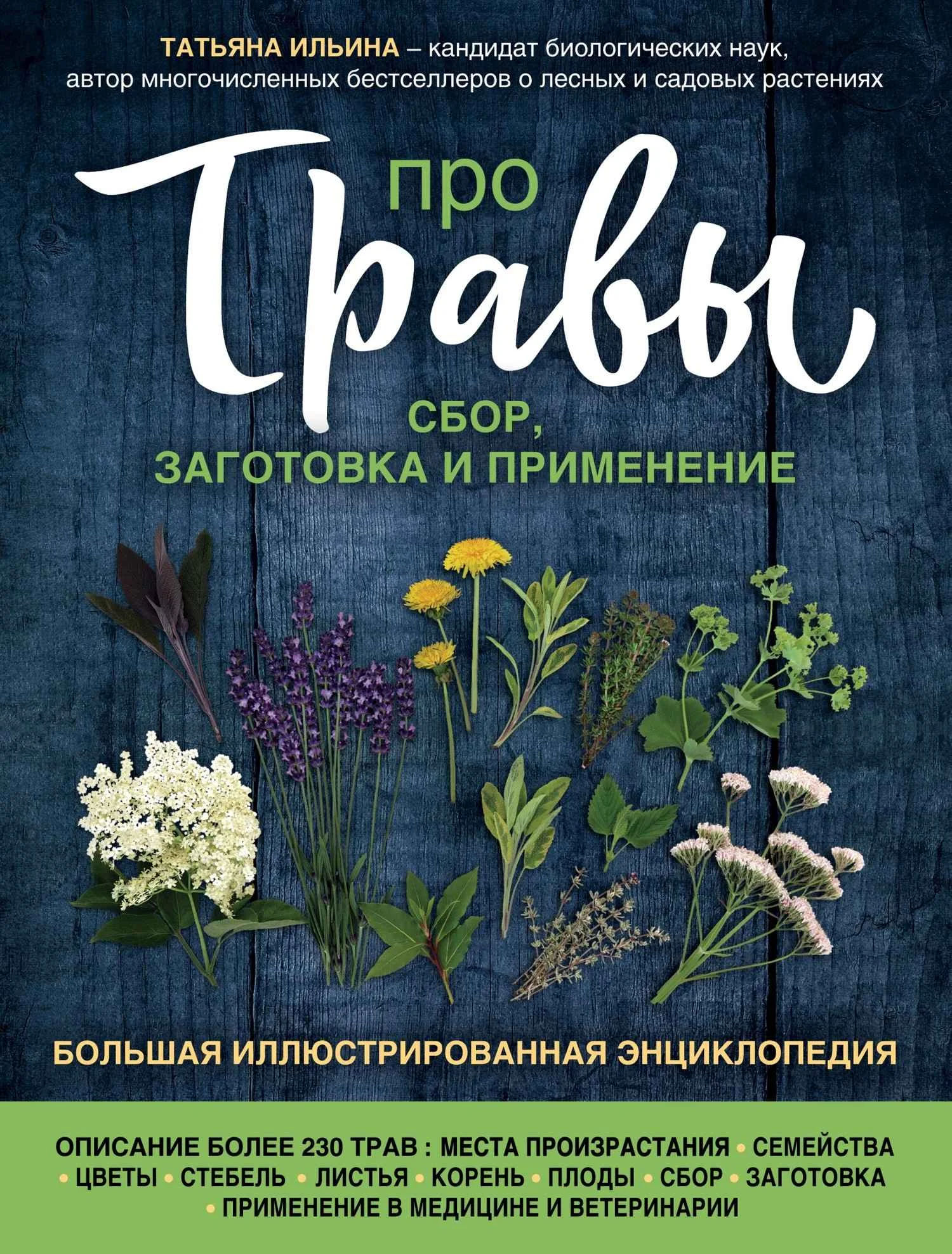 Обложка Про травы. Сбор, заготовка и применение. Большая иллюстрированная энциклопедия