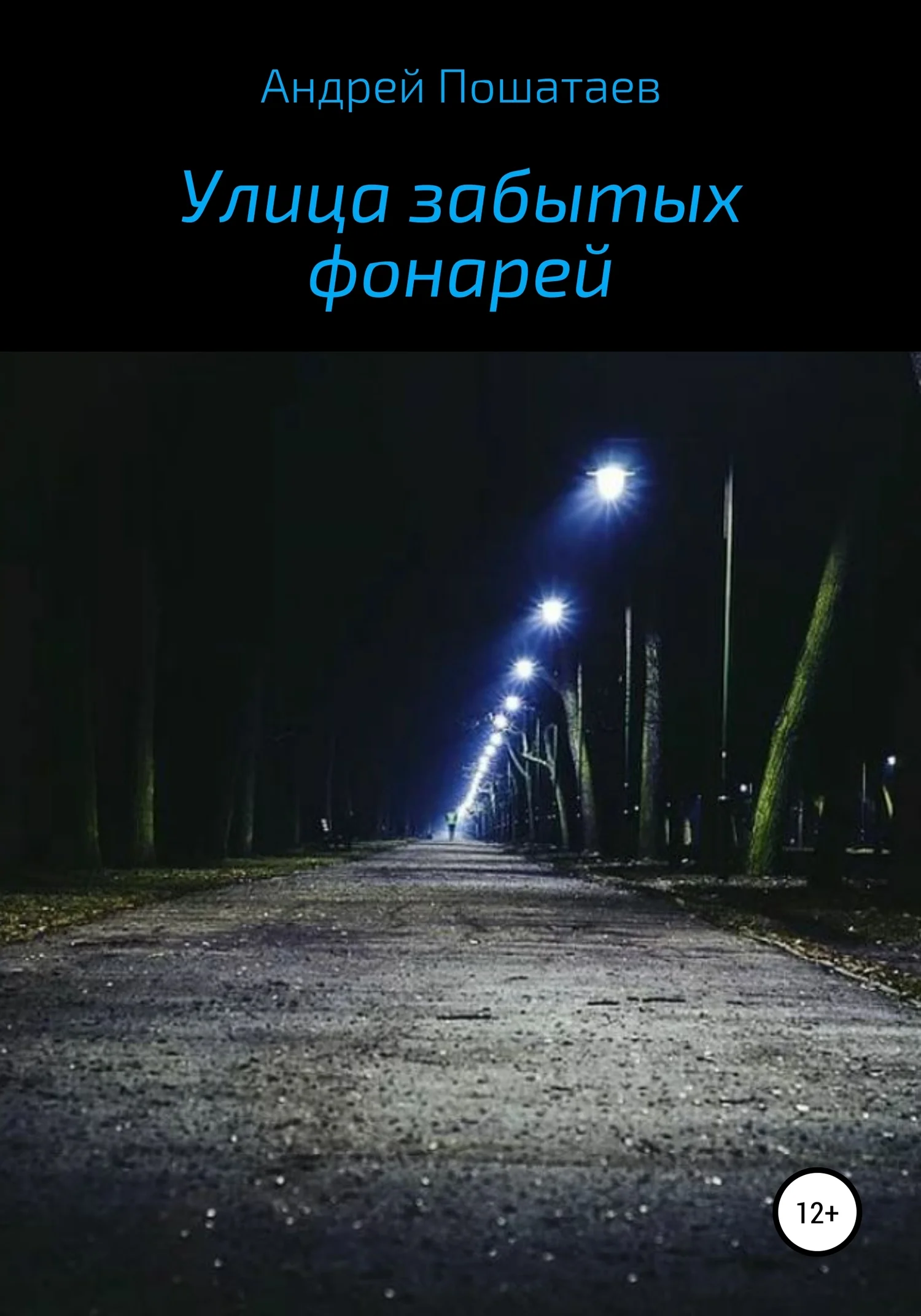Обложка Улица забытых фонарей