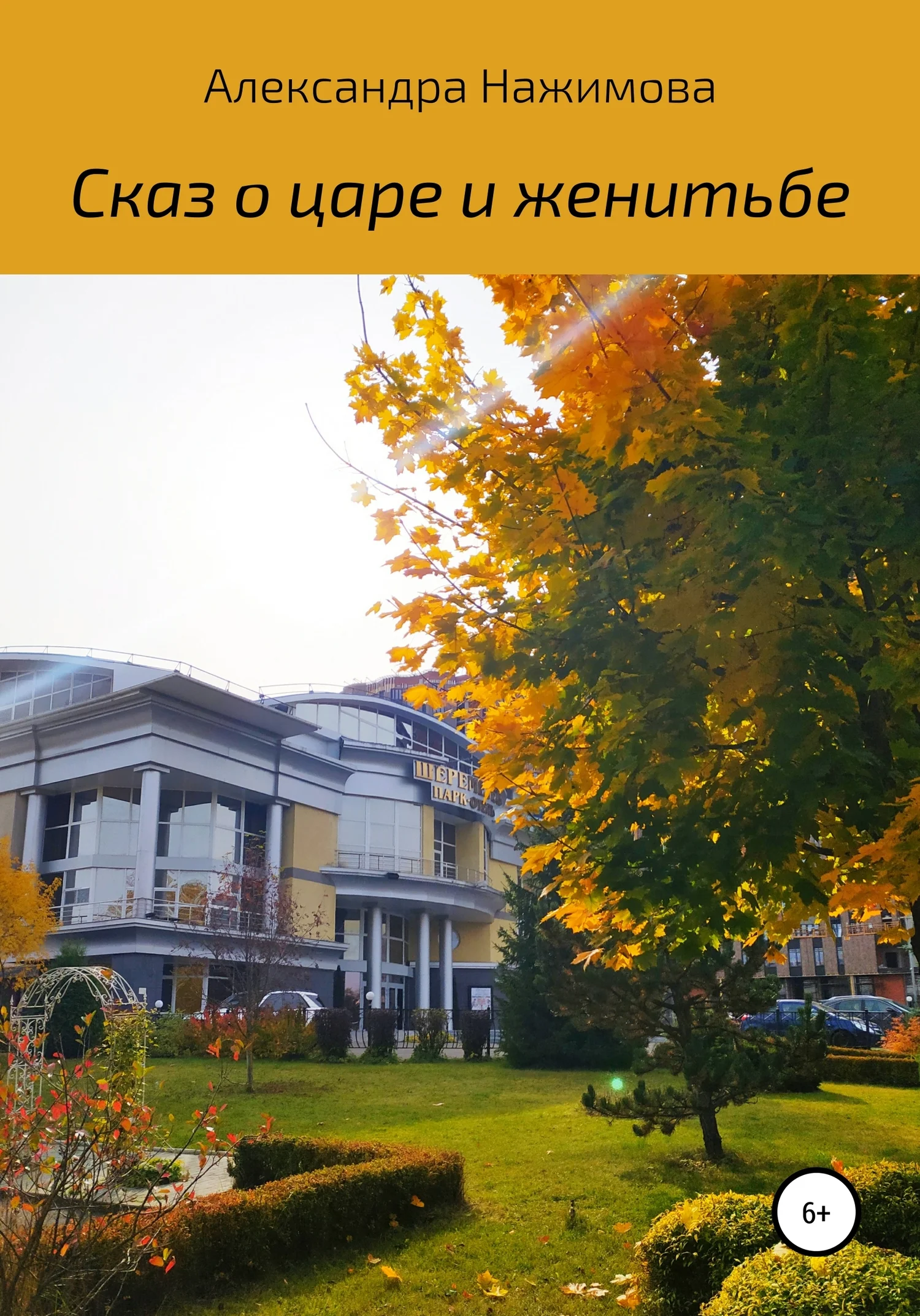 Обложка Сказ о царе и женитьбе