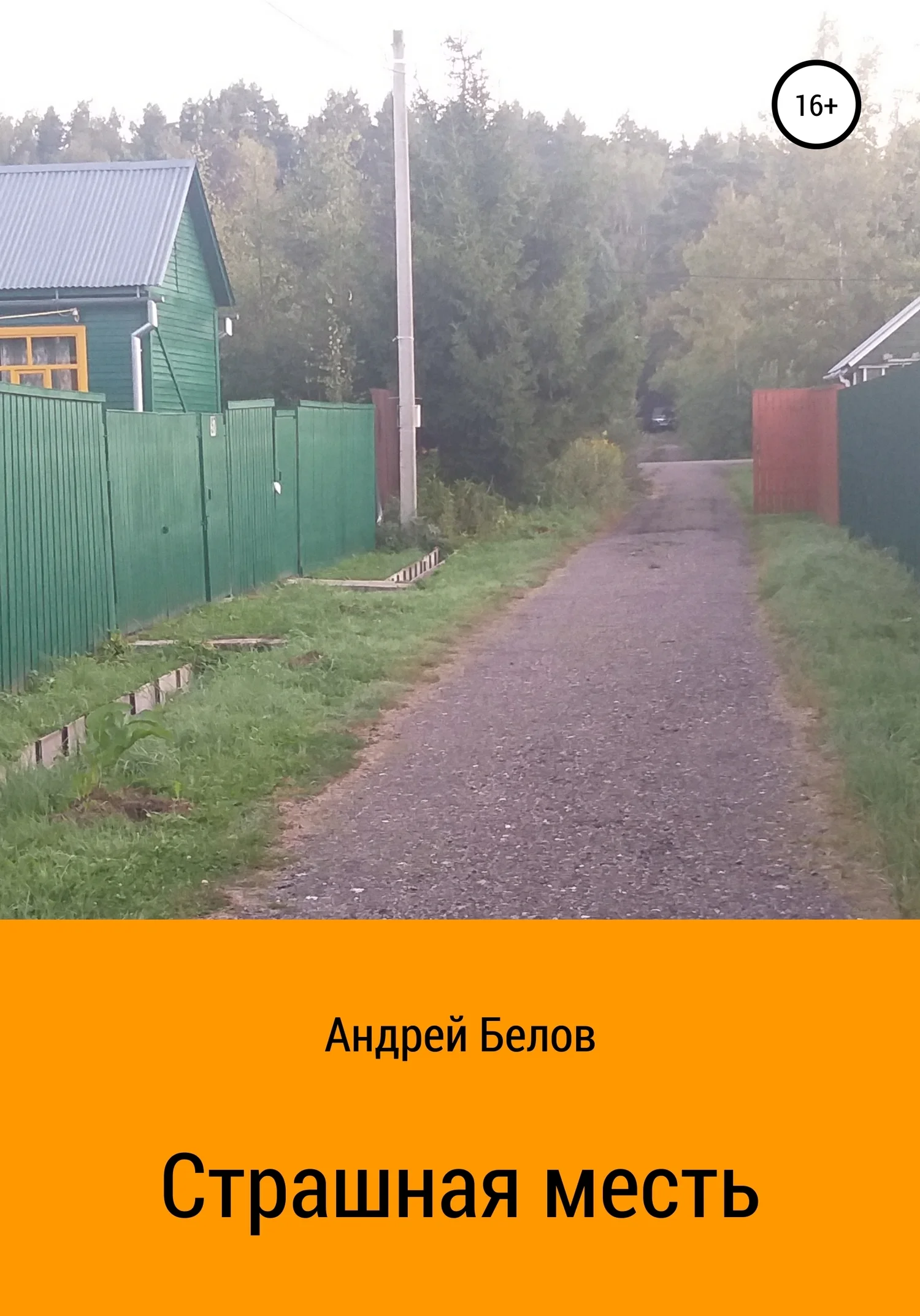 Обложка Страшная месть