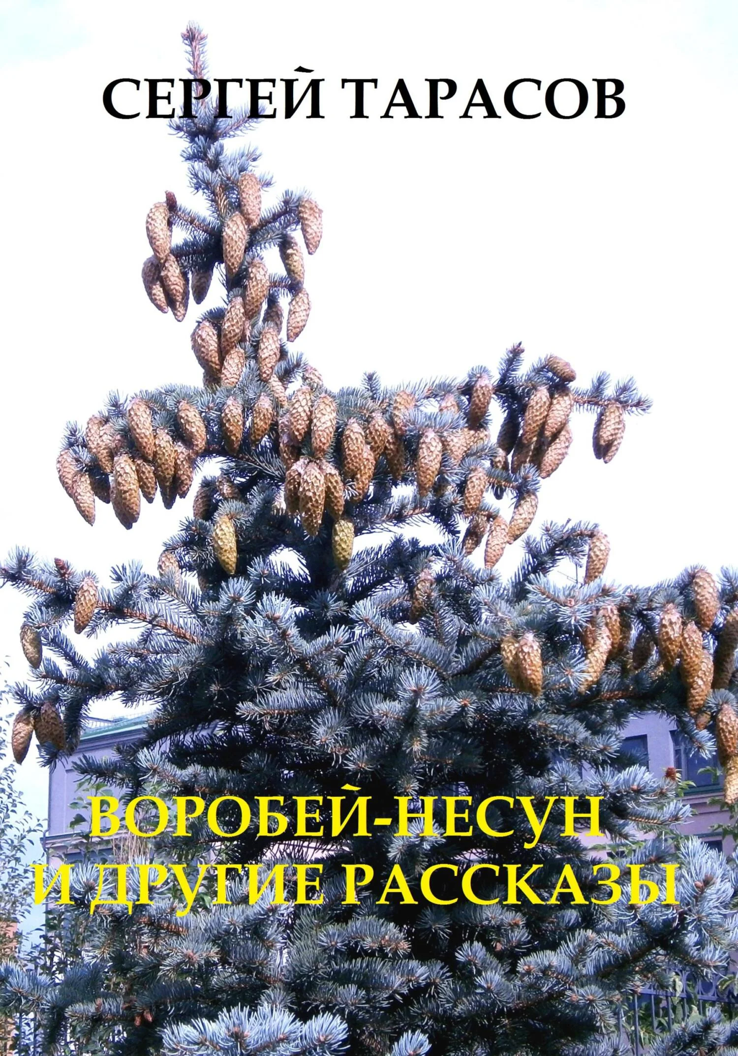 Обложка Воробей-несун и погоня